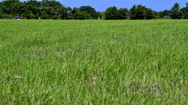 a view of field with trees in the background