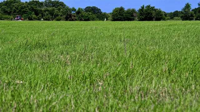 a view of field with trees in the background