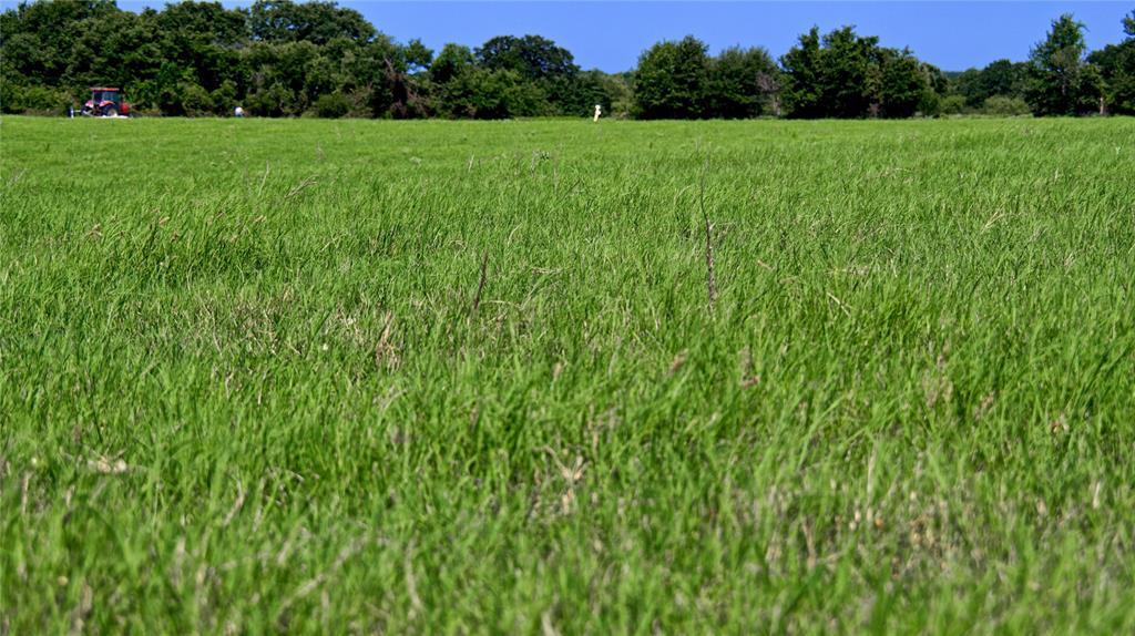 8752 Fm 1749 Sunset, TX 76270 - Photo 5 of 40 a view of field with trees in the background