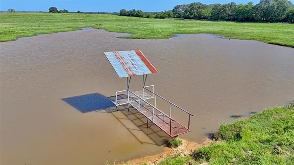 a view of a street with a large trees
