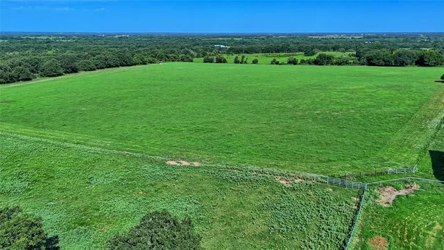 a view of a garden with a building