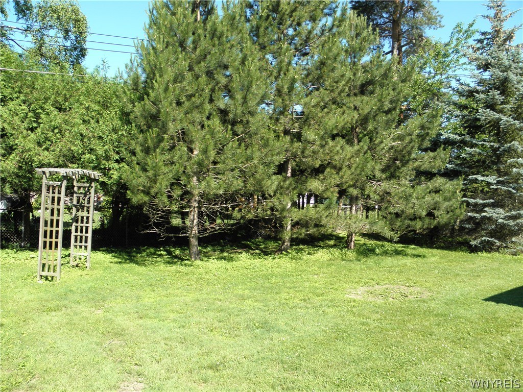 128 Minden Drive Orchard Park, NY 14127 - Photo 15 of 20 YARD