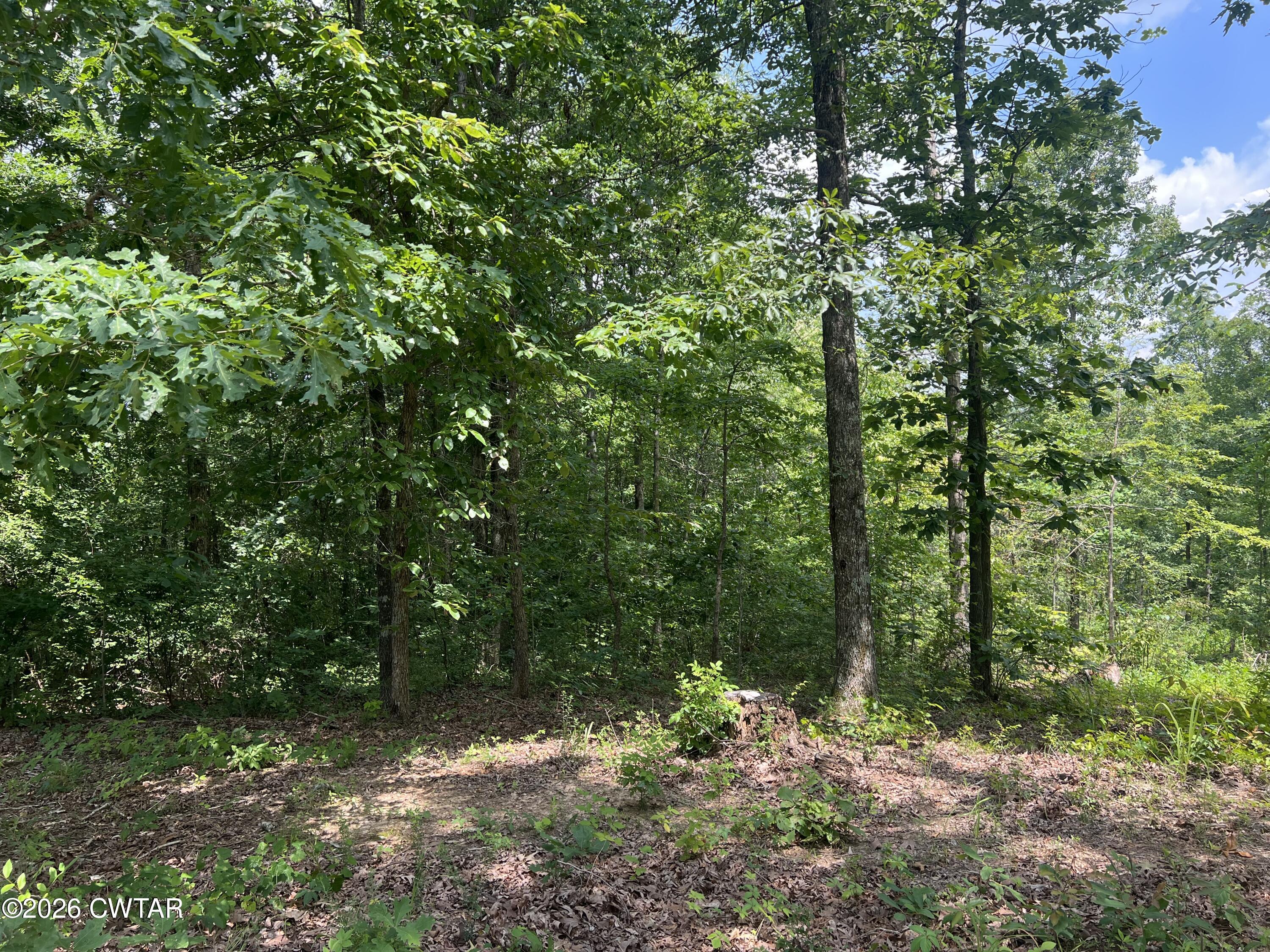 4600 Silerton Road Henderson, TN 38340 - Photo 11 of 16 IMG_6469