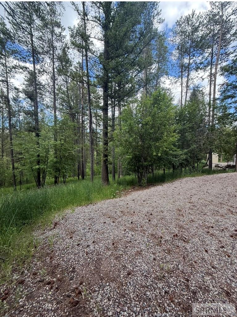 501 4th Road Irwin, ID 83428 - Photo 4 of 7