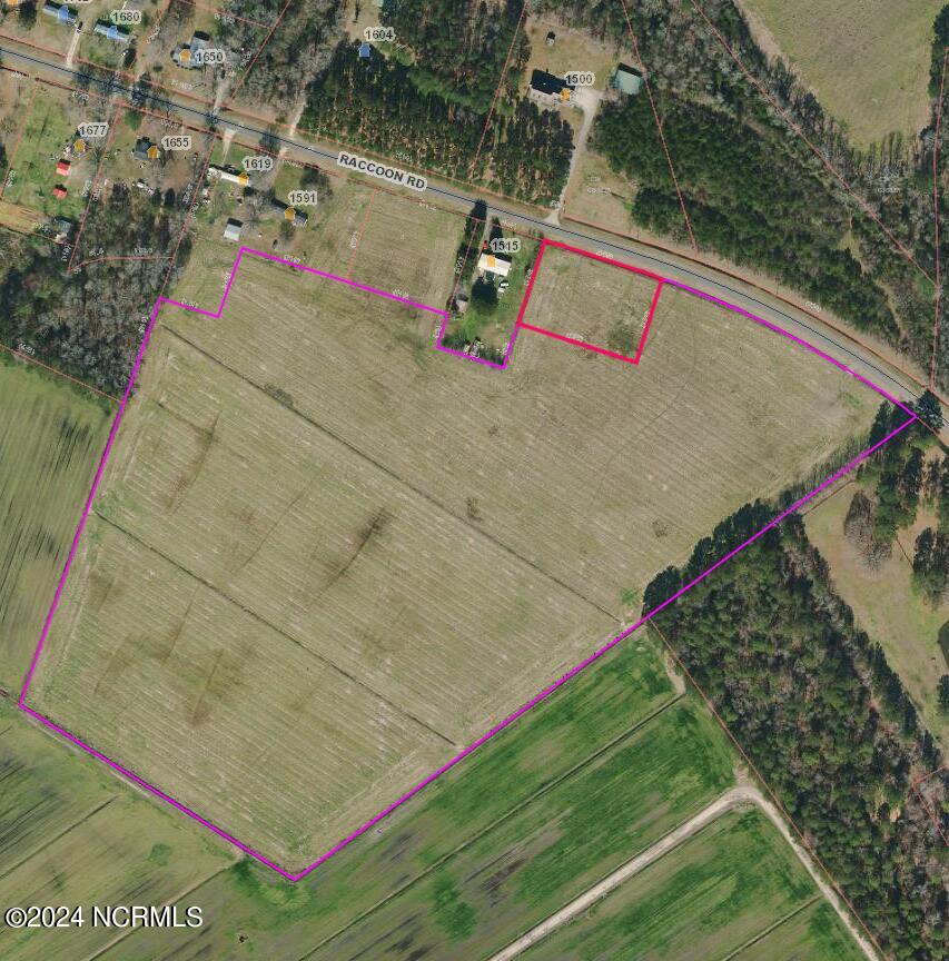 30-ac Raccoon Road Willard, NC 28478 - Photo 1 of 22 GIS Aerial