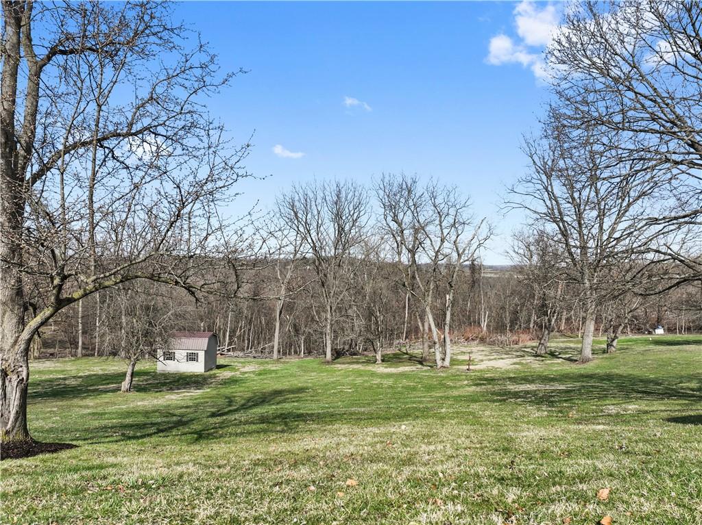 220 County Line Road Bridgeville, PA 15017 - Photo 45 of 50 Large Back Yard