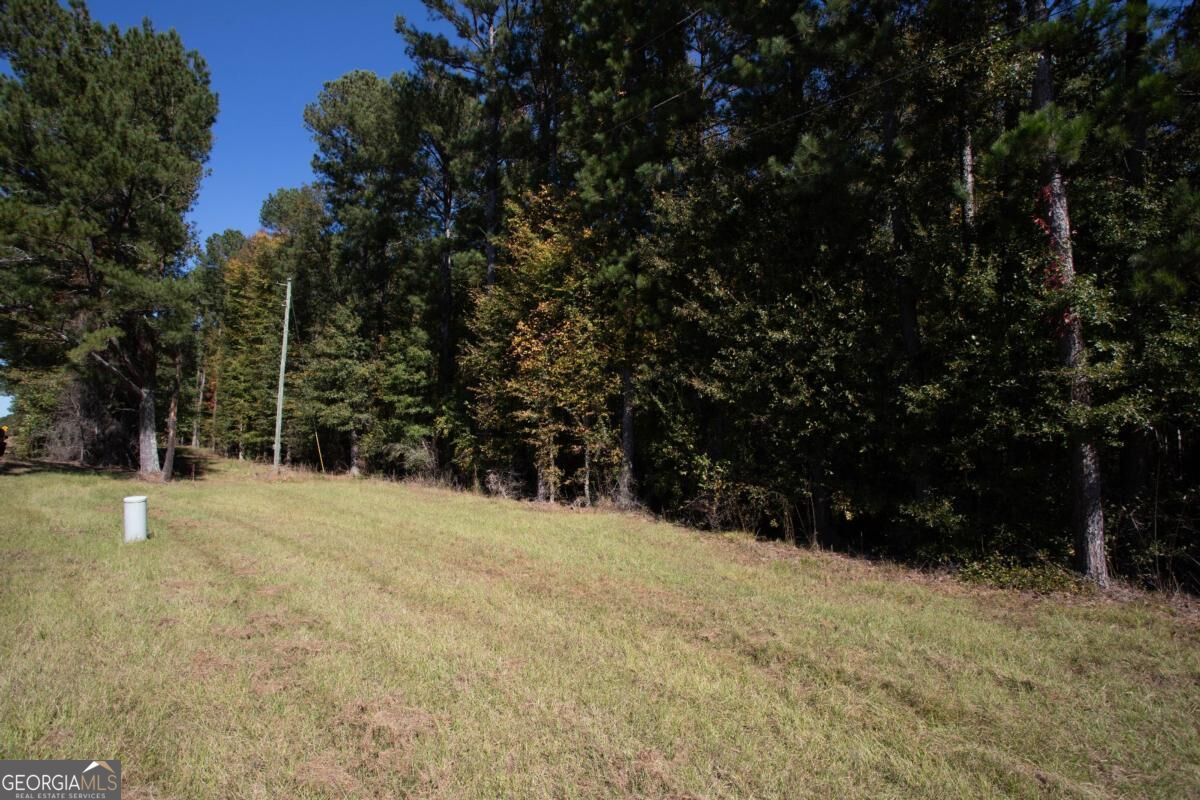 3171 Salem Road Watkinsville, GA 30677 - Photo 4 of 6 Gallery Image 4