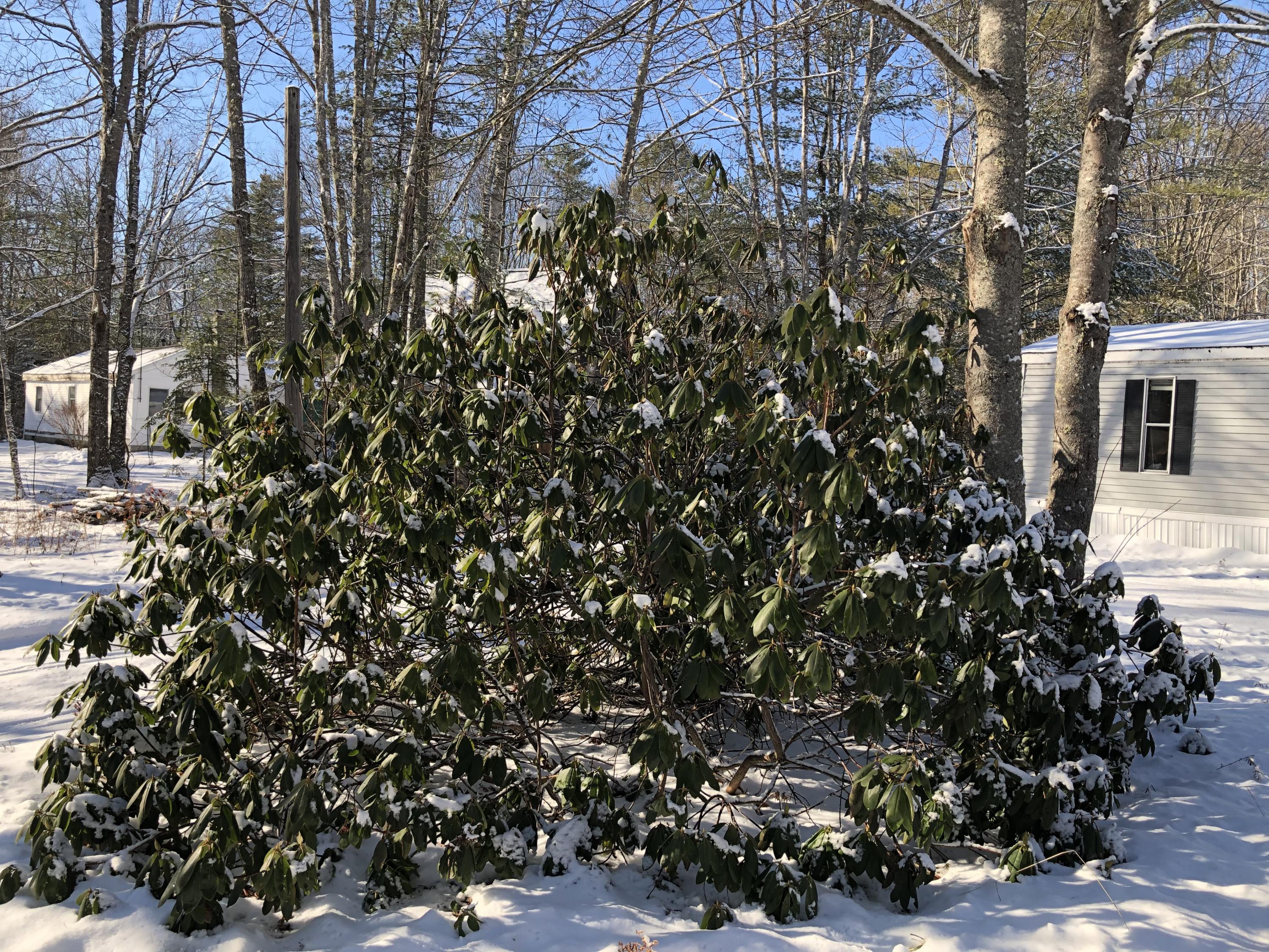 140 Walker Road Woolwich, ME 04579 - Photo 16 of 16 IMG_2865