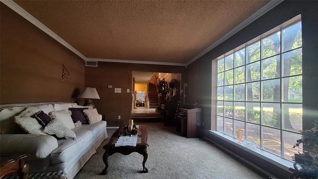 613 Colts Neck Court Colleyville, TX 76034 - Photo 9 of 38 natural light floods the front living viewing treed front yard