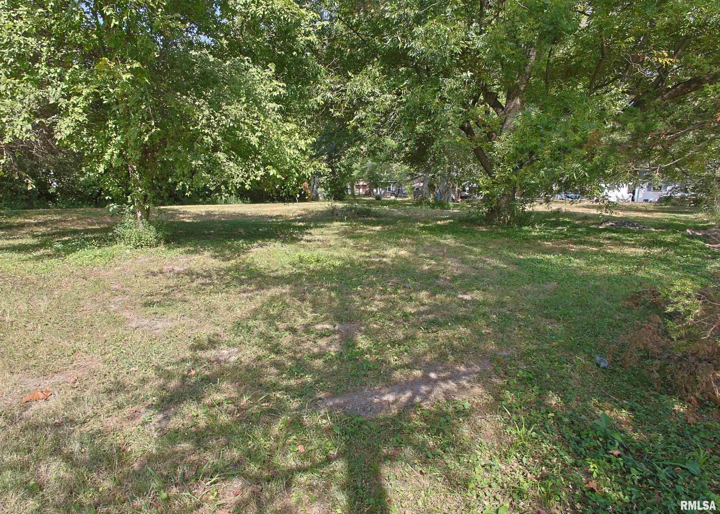 432 Seba Street Hurst, IL 62949 - Photo 2 of 5