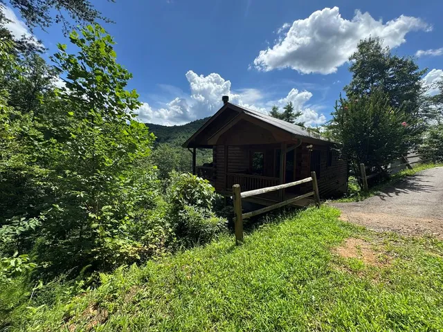 a view of a back yard with green space