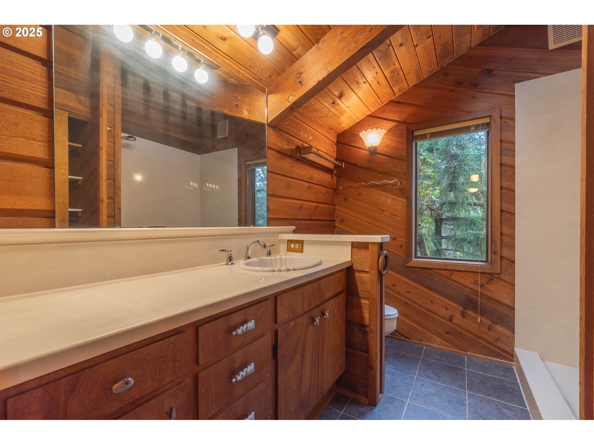 3054 Hendricks Hill Drive Eugene, OR 97403 - Photo 8 of 25 a bathroom with a sink and a mirror