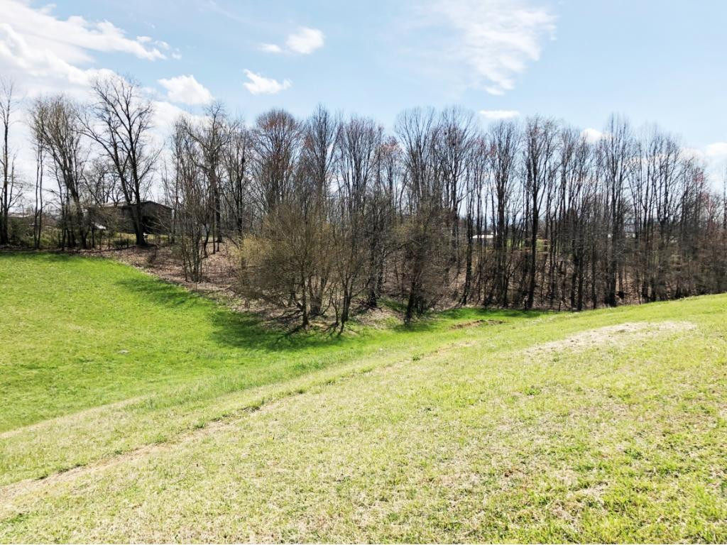 493 Upper Sand Valley Road Jonesborough, TN 37659 - Photo 20 of 36 View of Wooded Area of Land