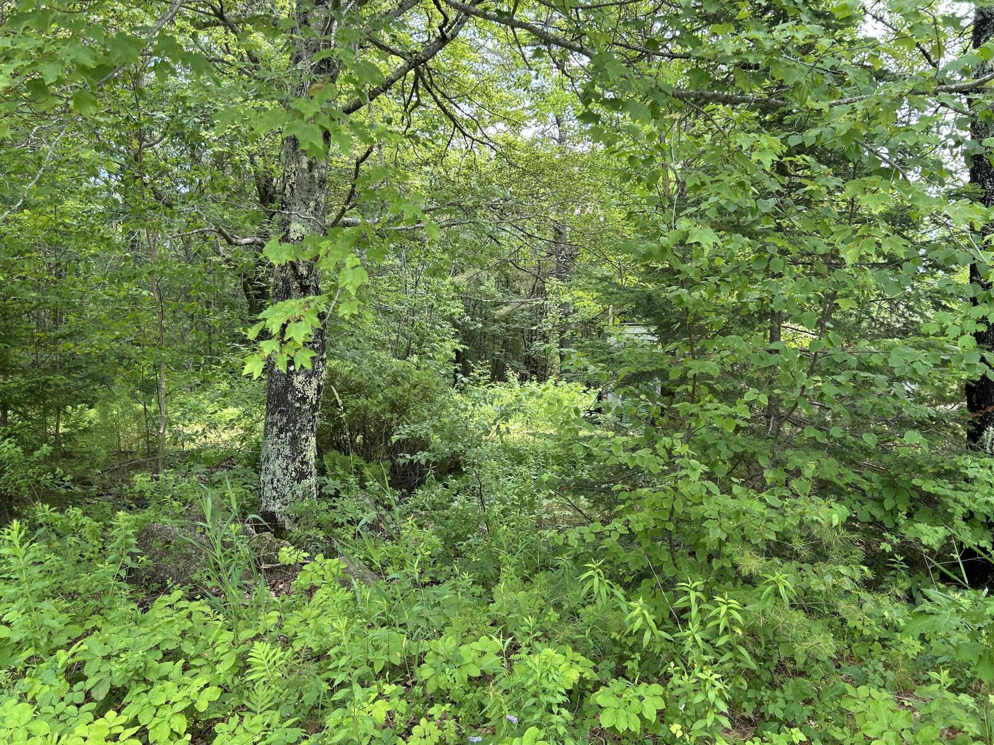 172 Vannah Road Nobleboro, ME 04555 - Photo 3 of 3 3_172VannahRoadNobleboro