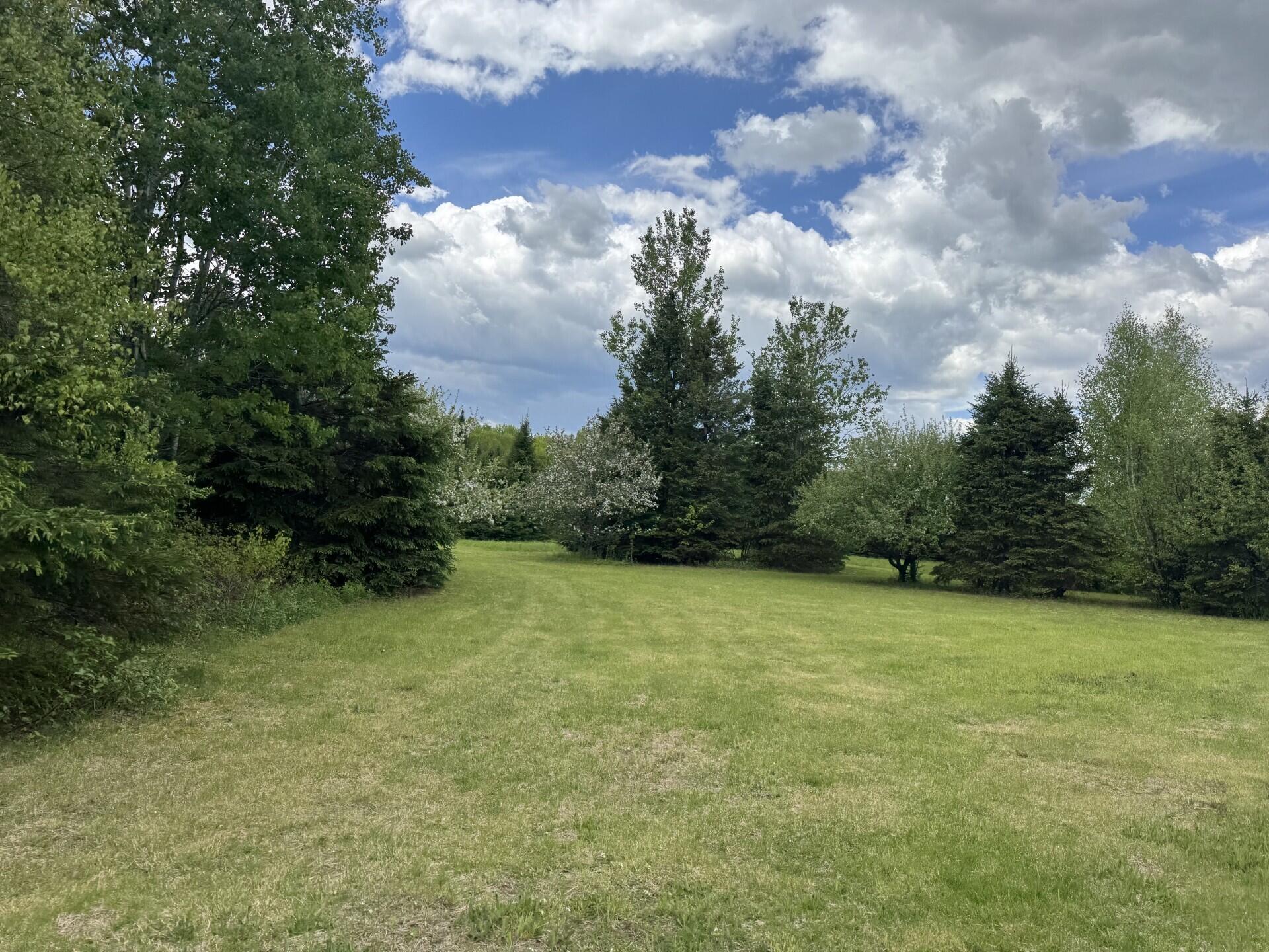 328 Clark Road Merrill, ME 04780 - Photo 26 of 55 Back Acreage (328 Clark Road) V