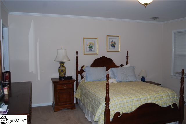 116 Pigeon Point Greenville, SC 29607 - Photo 11 of 20 Gallery Image 11