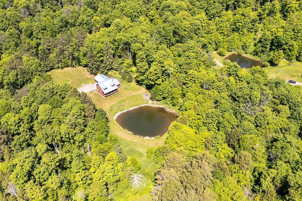 6000 Dryden Road Walton, NY 13856 - Photo 39 of 50
