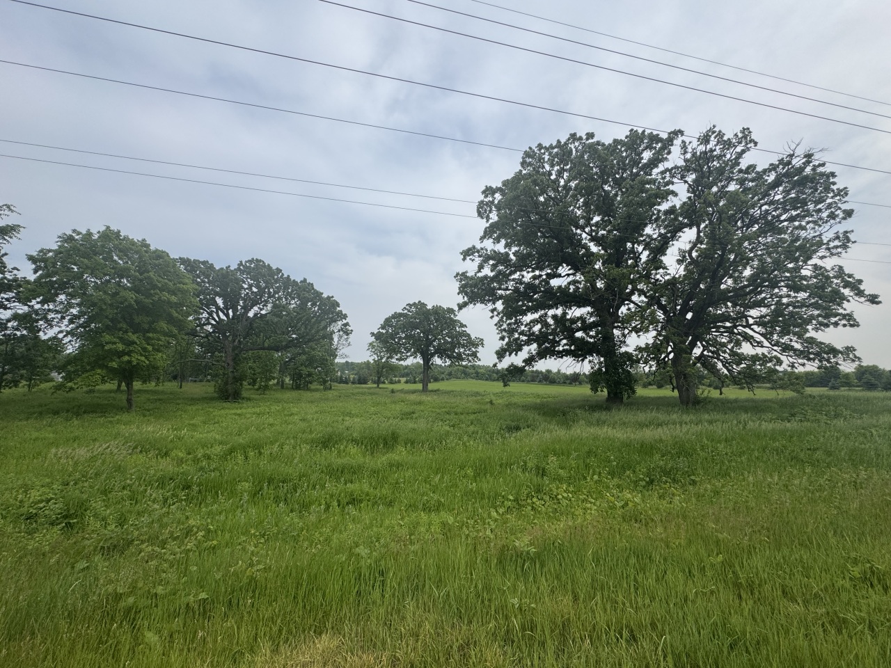 Lt34 Lt34 County Road Mukwonago, WI 53149 - Photo 4 of 7 Photo 1