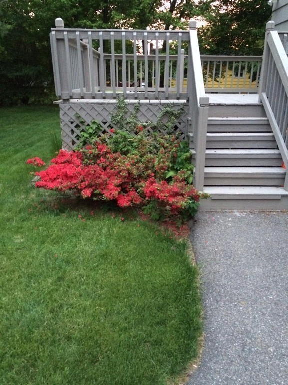 38 Michael Road Randolph, MA 02368 - Photo 24 of 24 Gallery Image 24