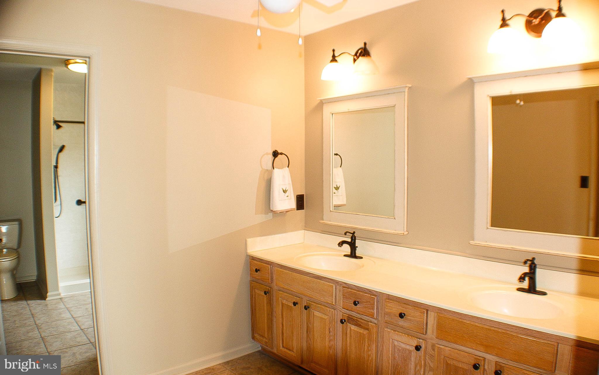 187 North Planters Lane Dover, DE 19901 - Photo 22 of 28 a bathroom with a double vanity sink and a mirror