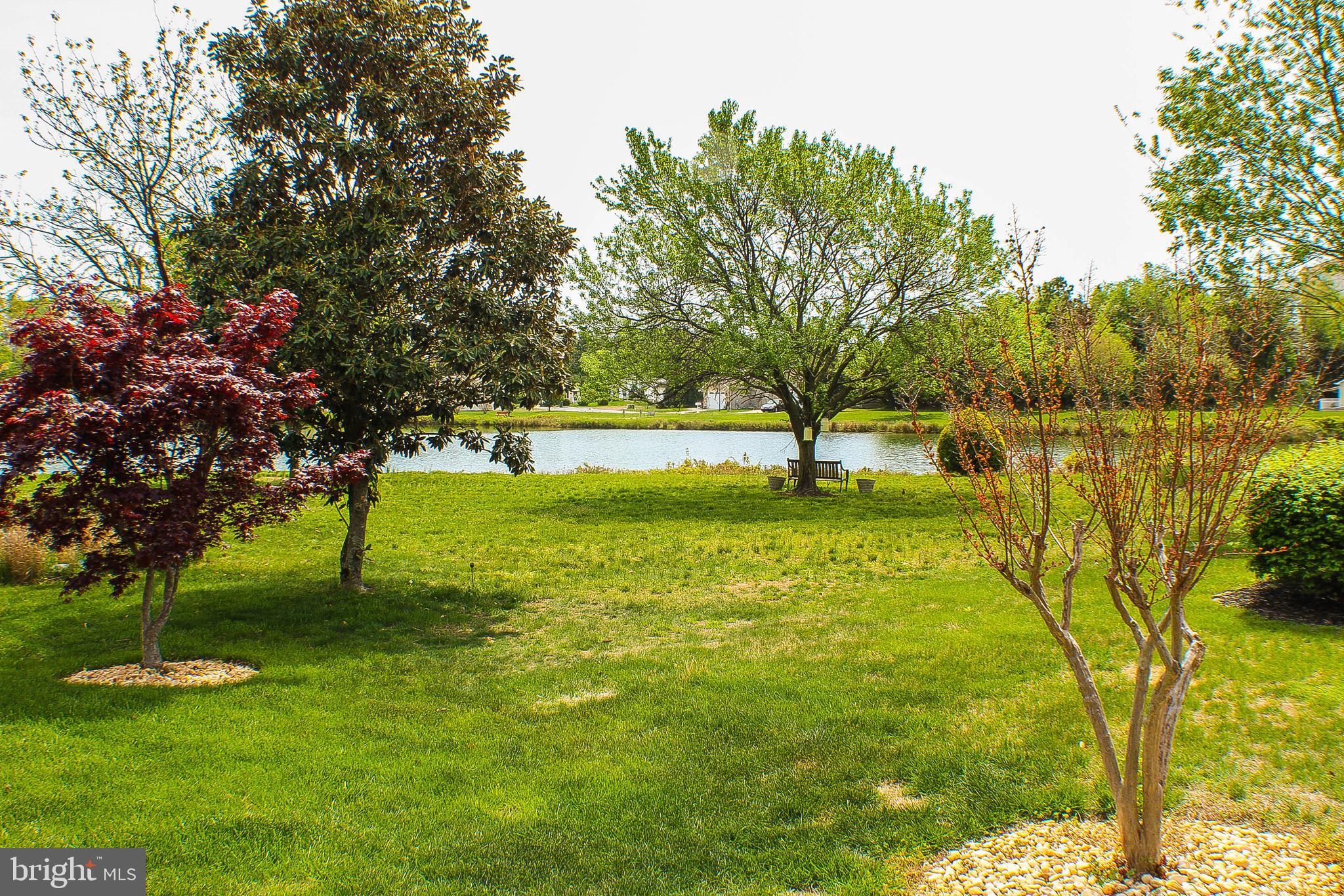 187 North Planters Lane Dover, DE 19901 - Photo 6 of 28 a view of yard with swimming pool and green space