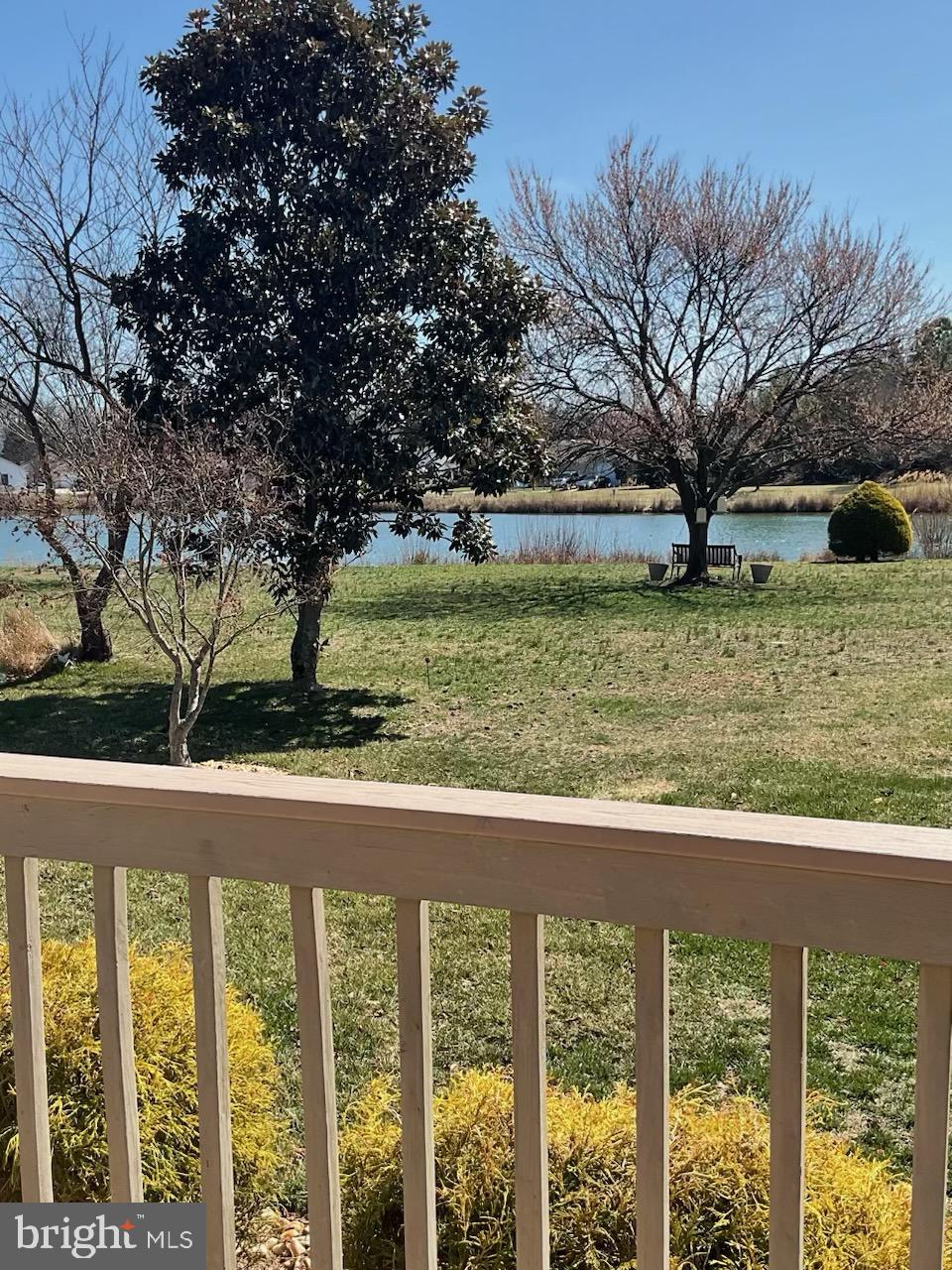187 North Planters Lane Dover, DE 19901 - Photo 7 of 28 a view of backyard with green space
