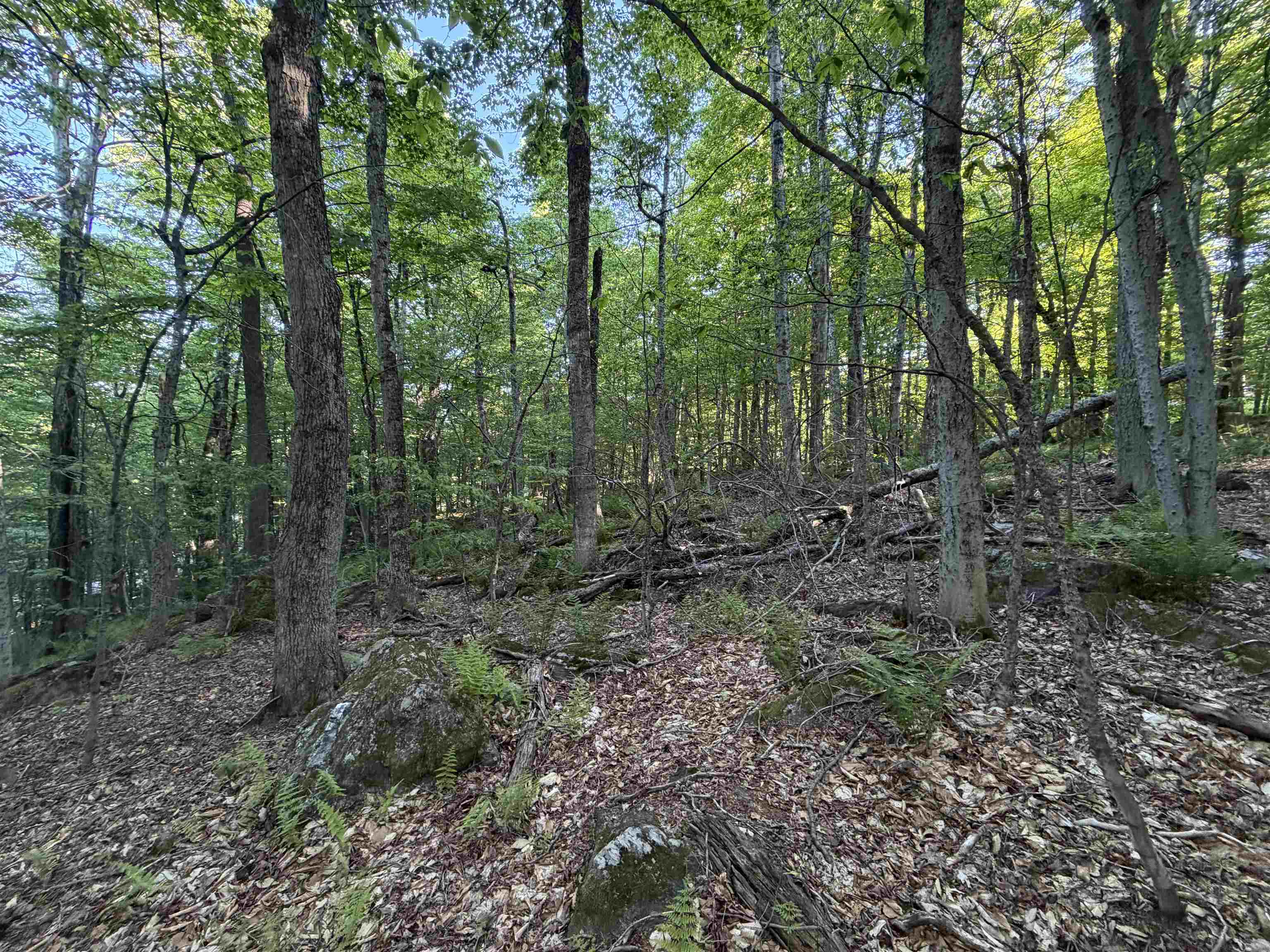 Scattered Timber Road Wilmington, VT 05363 - Photo 7 of 24