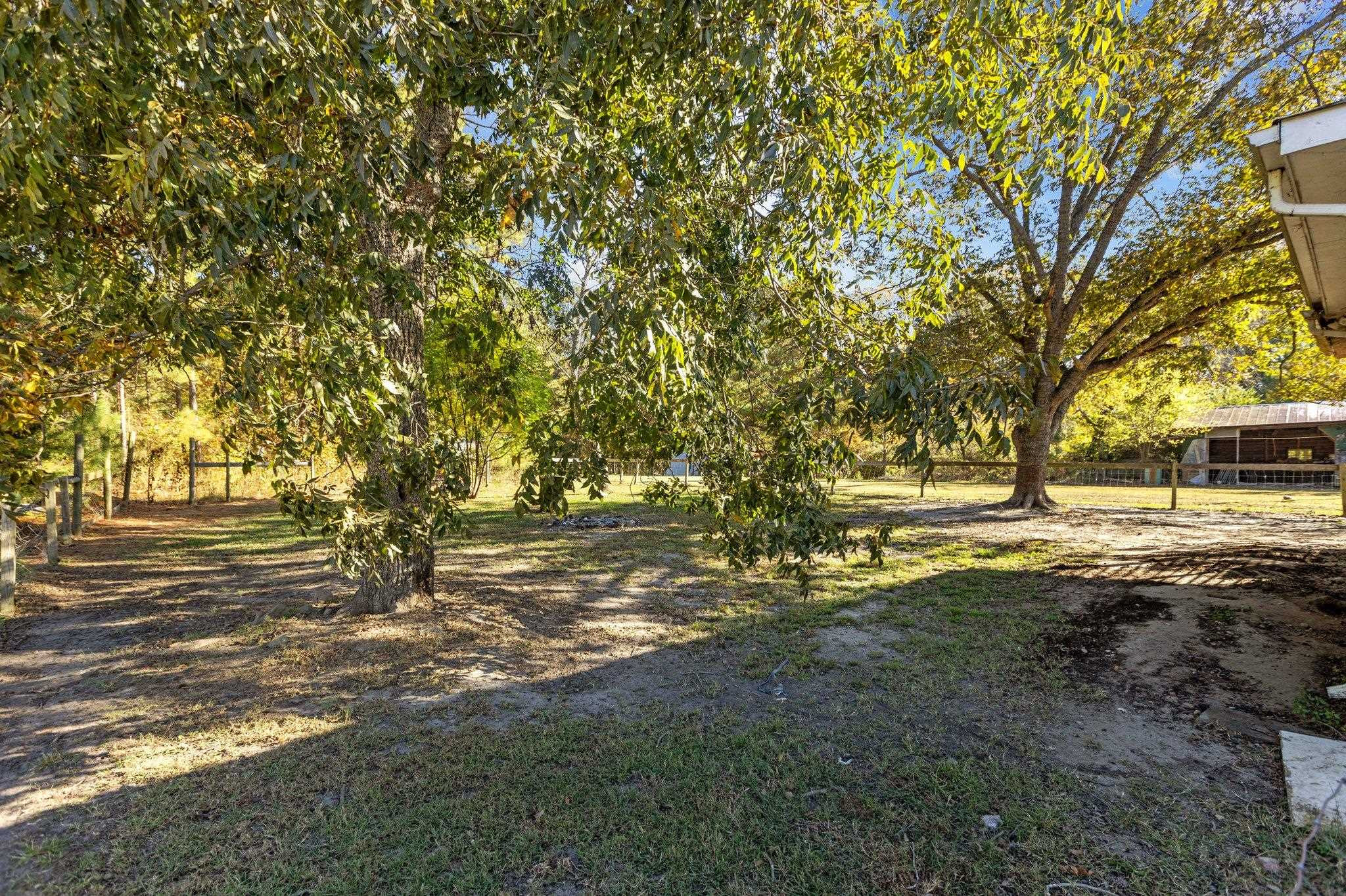 3605 Buzzard Road Wendell, NC 27591 - Photo 19 of 25 a view of yard with trees