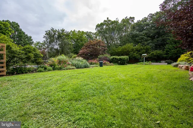 a view of green field with trees in the background