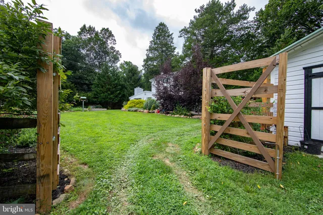 a view of a backyard with plants and a garden