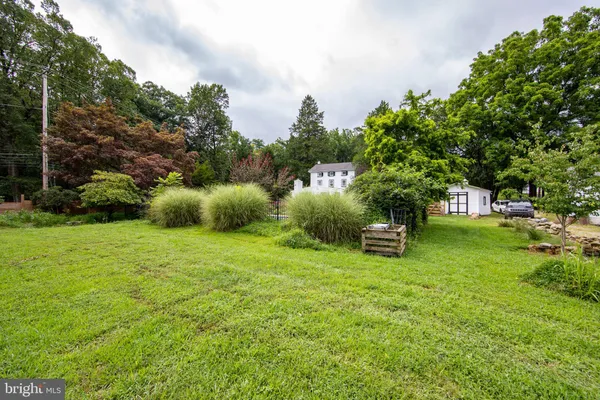 a view of a park with large trees