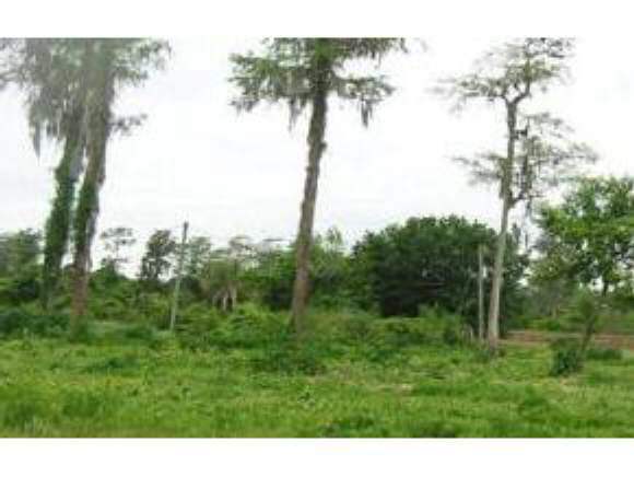 1284 Padgett Road Southeast, Unit 343 Palm Bay, FL 32909 - Photo 1 of 1 Primary Photo