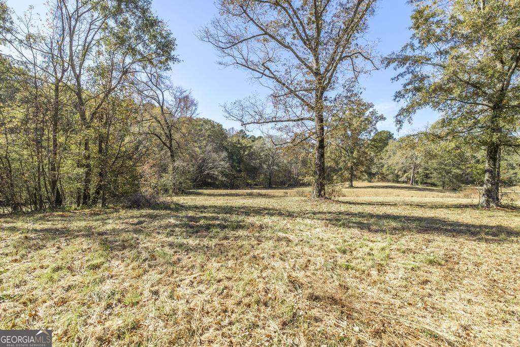 1701 Blue Springs Road Buckhead, GA 30625 - Photo 14 of 24 a view of yard with trees