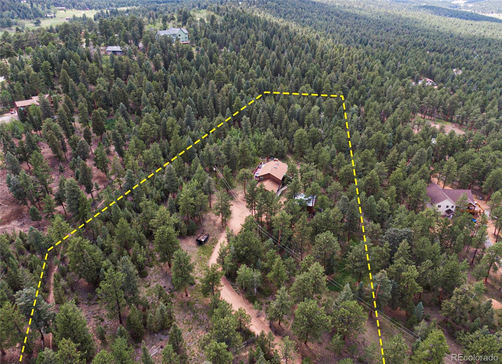 444 Nova Road Pine, CO 80470 - Photo 39 of 40 a view of a forest with a tree