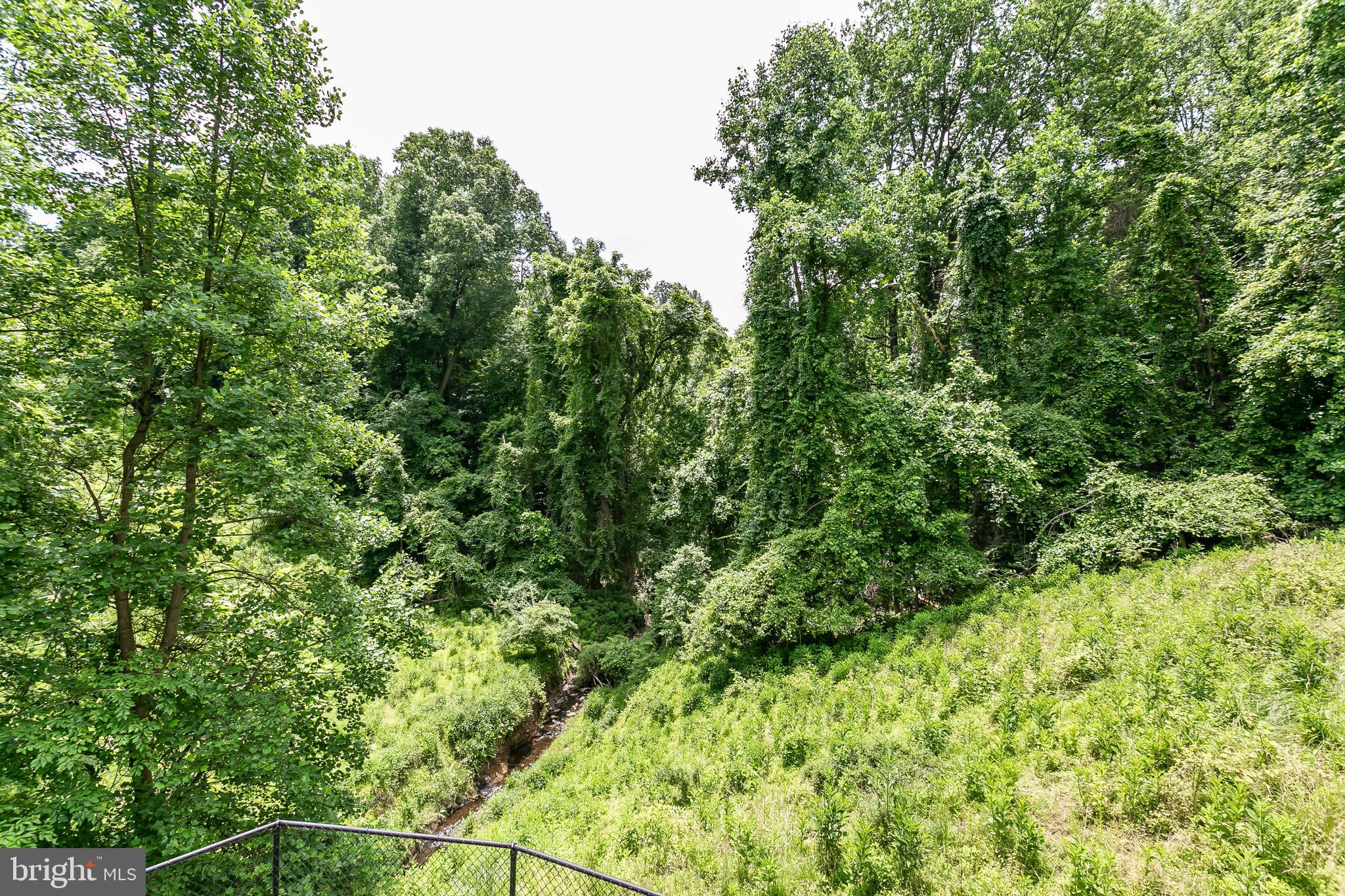 6716 Newstead Lane Baltimore, MD 21209 - Photo 66 of 66 a view of a lush green forest with lawn chairs and plants