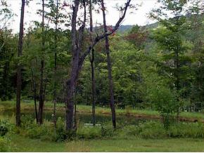 258 Lone Pine Road Bridgewater, VT 05034 - Photo 7 of 7