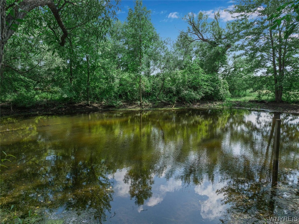 4948 Lower Mountain Road Cambria, NY 14094 - Photo 9 of 48