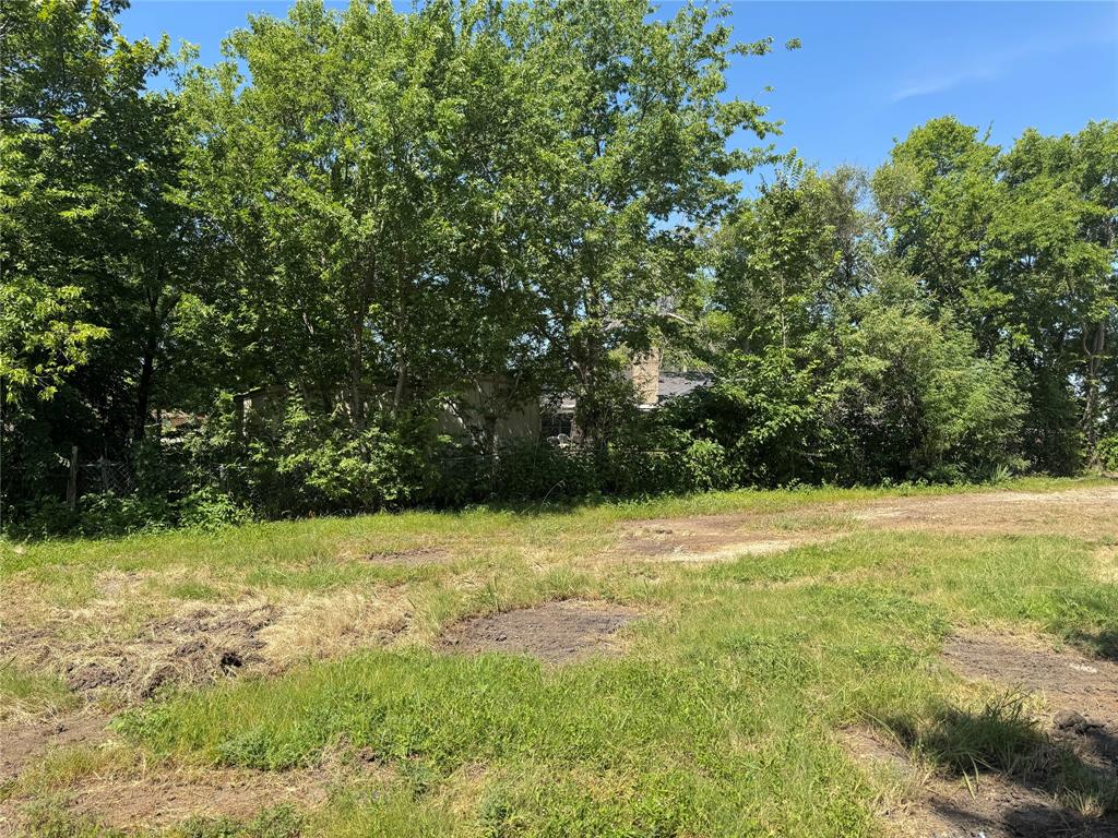 308 Oak Street Forney, TX 75126 - Photo 6 of 14