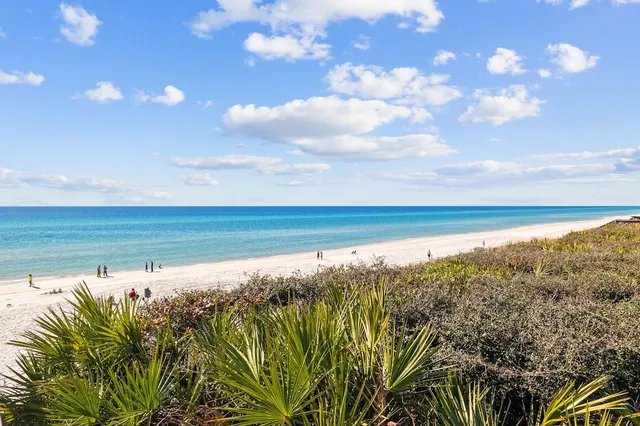 $1,475,000 | 37 Sand Shovel Lane, Seacrest, FL 32461