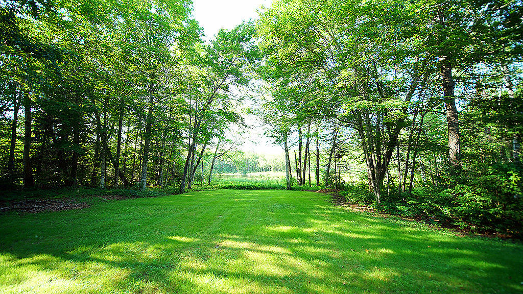 2488 Forest City Road Brookton, ME 04413 - Photo 7 of 73 2488-forest-city-rd-13