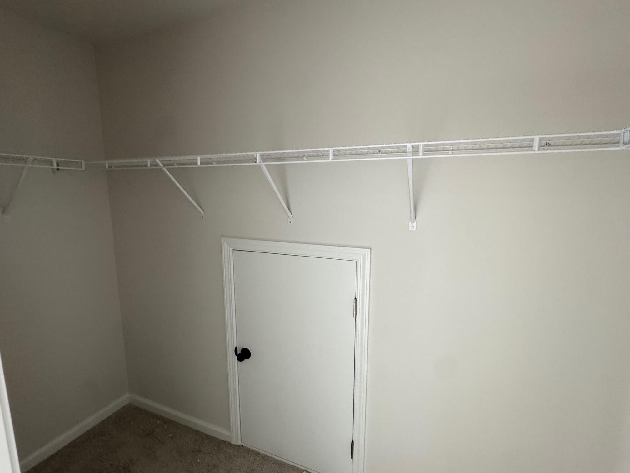 3009 Macaron Court Ravenel, SC 29470 - Photo 21 of 21 98 bd 4 closet