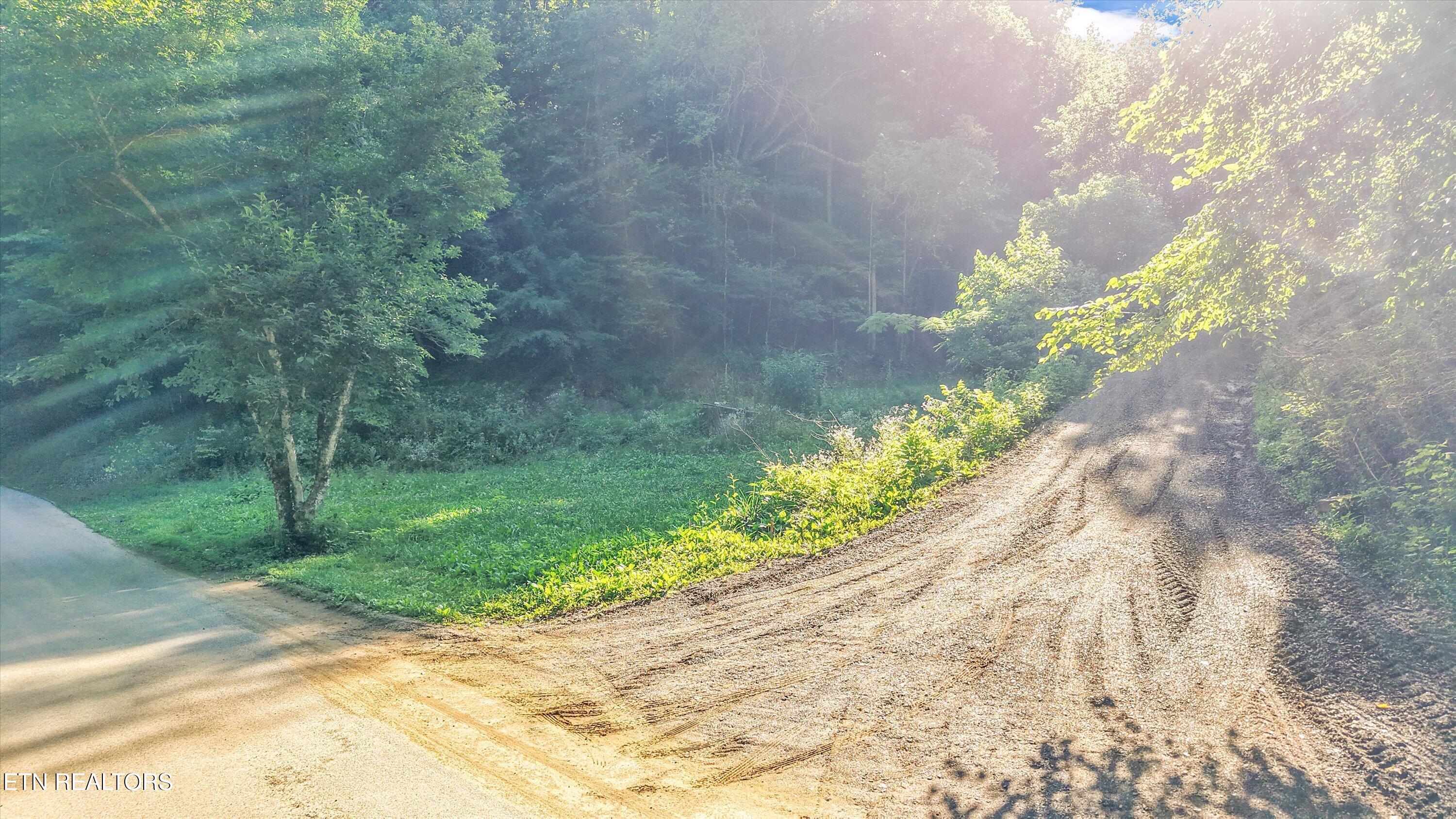 1717 Long Branch Road Seymour, TN 37865 - Photo 4 of 10 09-1717 Long Branch Rd09