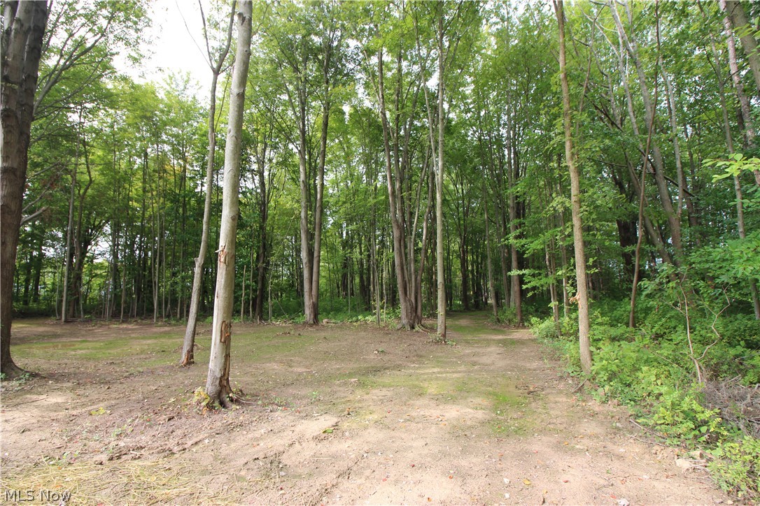 1270 North County Line Road Geneva, OH 44041 - Photo 22 of 23