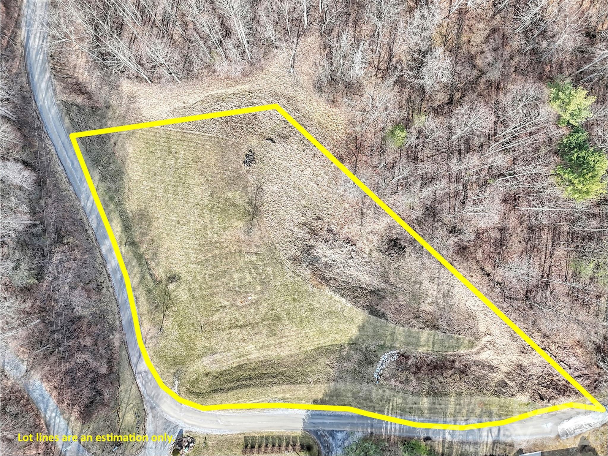 0 Seay Mountain Road Waynesville, NC 28785 - Photo 2 of 17