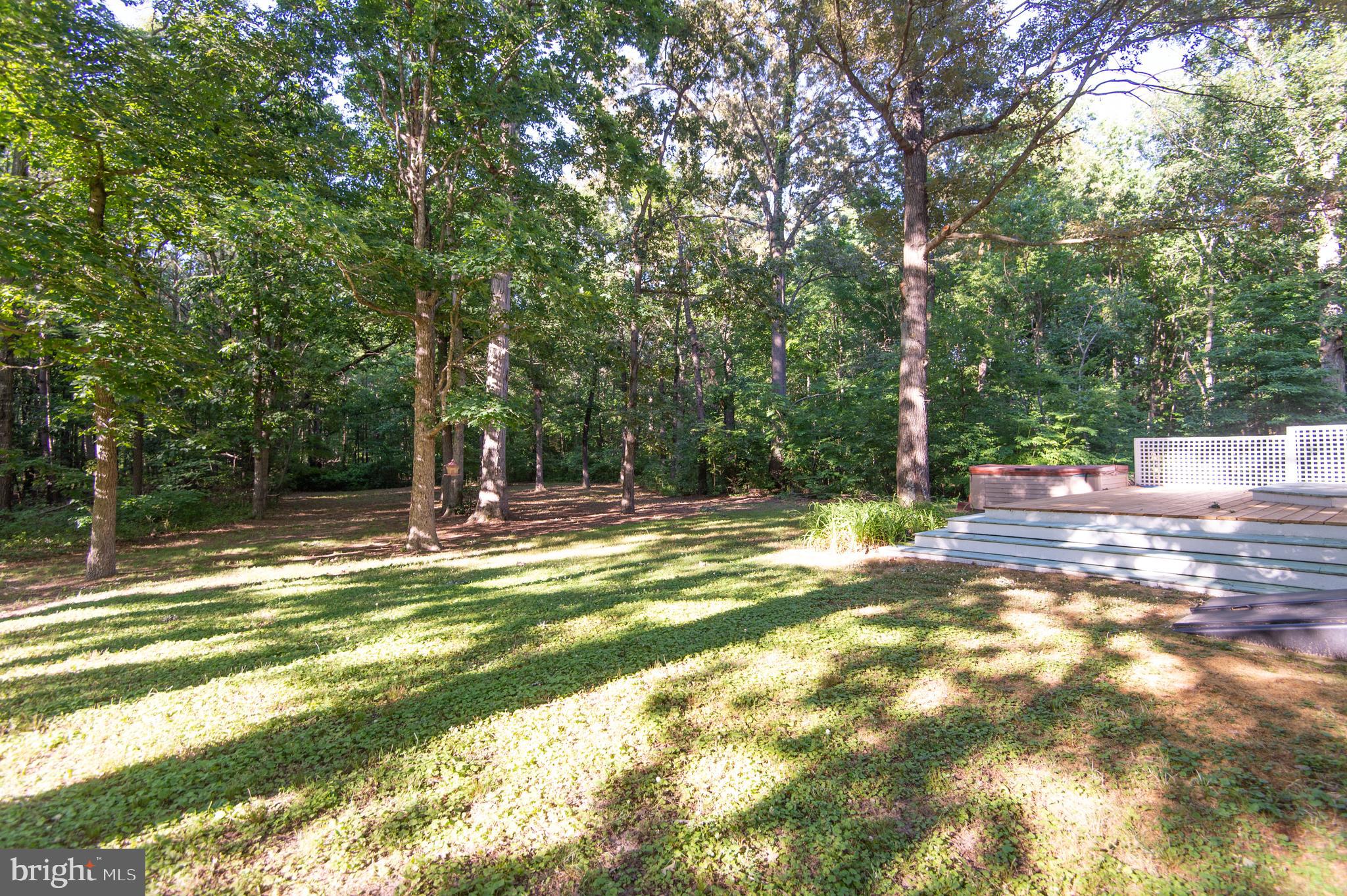 10774 Chapel Road Cordova, MD 21625 - Photo 45 of 76 Rear yard view