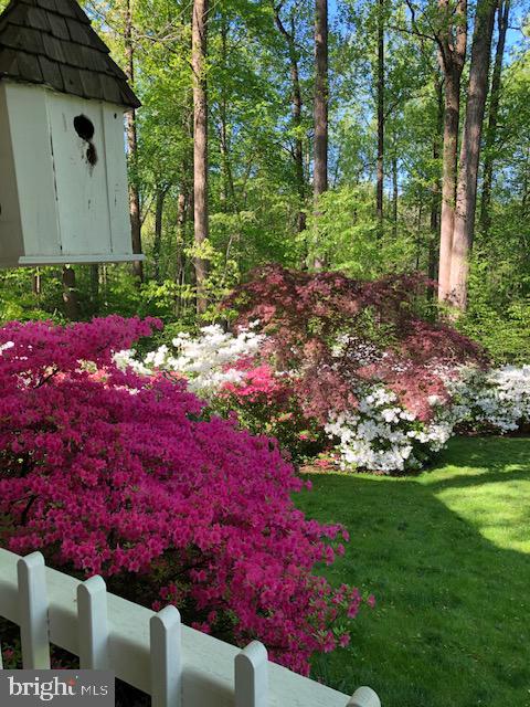 8509 Brook Road McLean, VA 22102 - Photo 110 of 114 Gallery Image 110