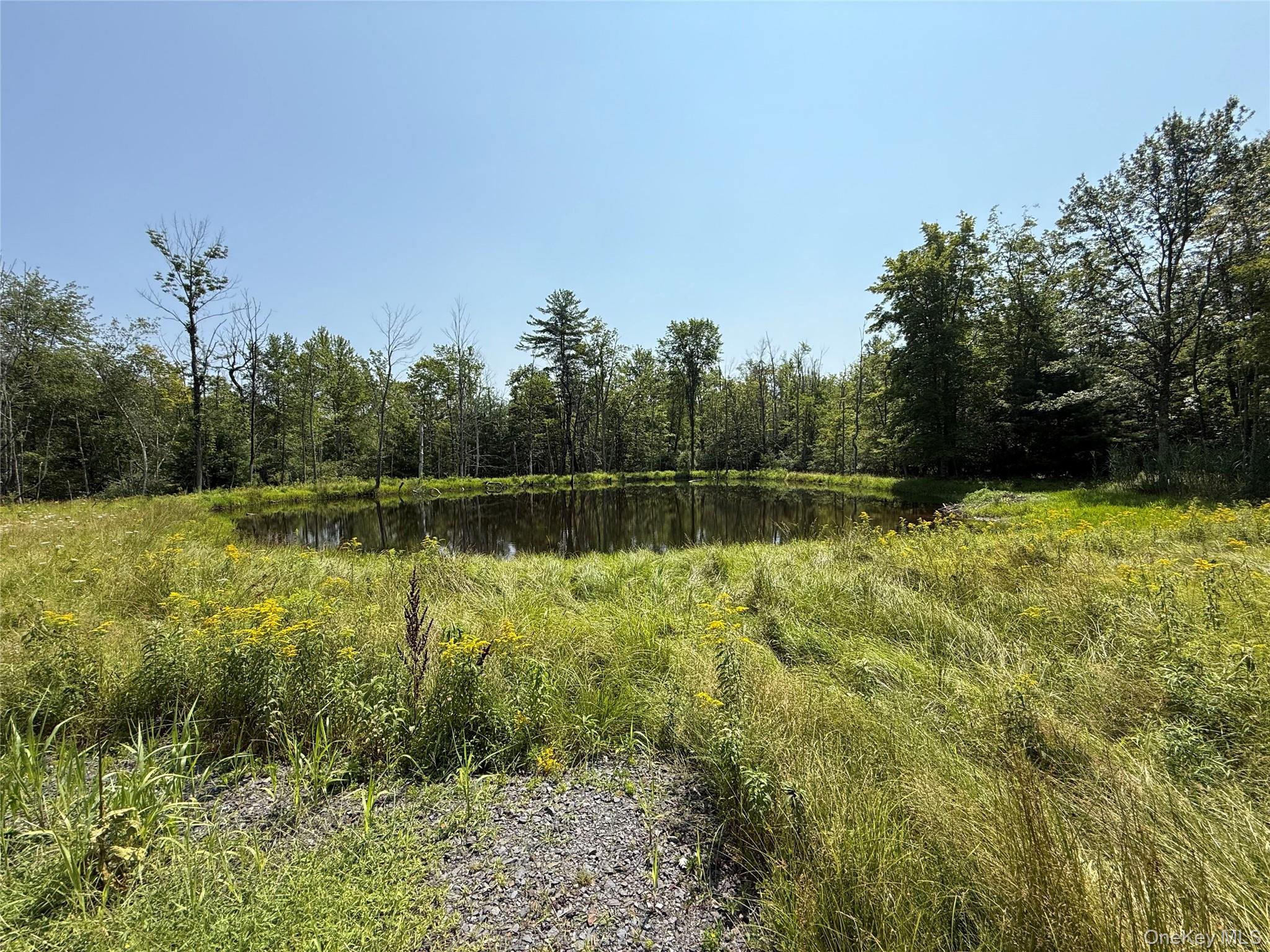 a view of a lake with a yard and trees