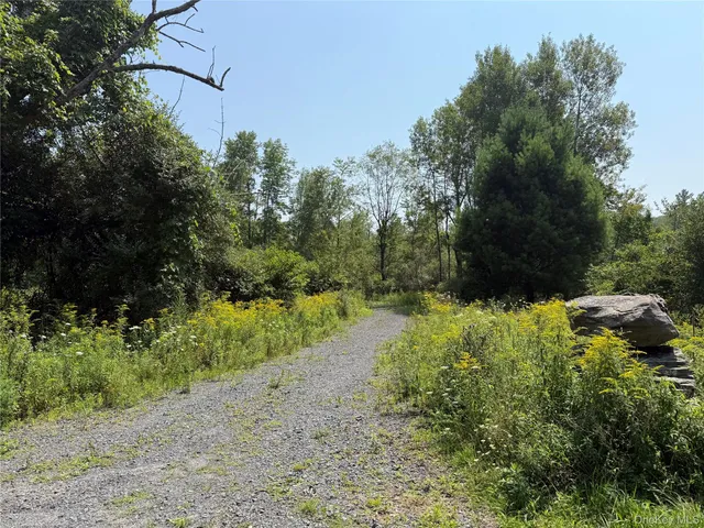 a view of a yard with a tree