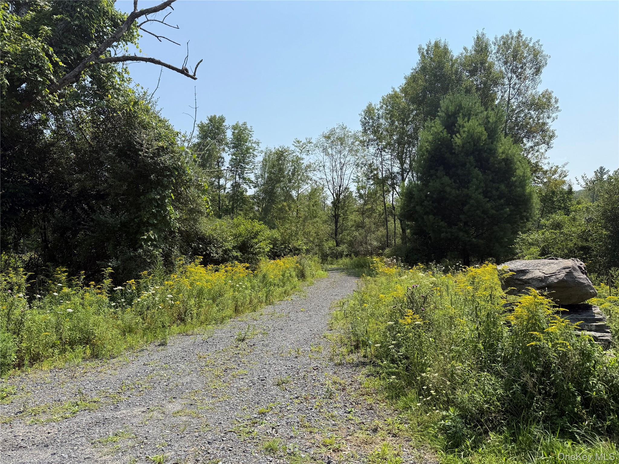 16 Kerness Road Ellenville, NY 12428 - Photo 2 of 6 a view of a yard with a tree