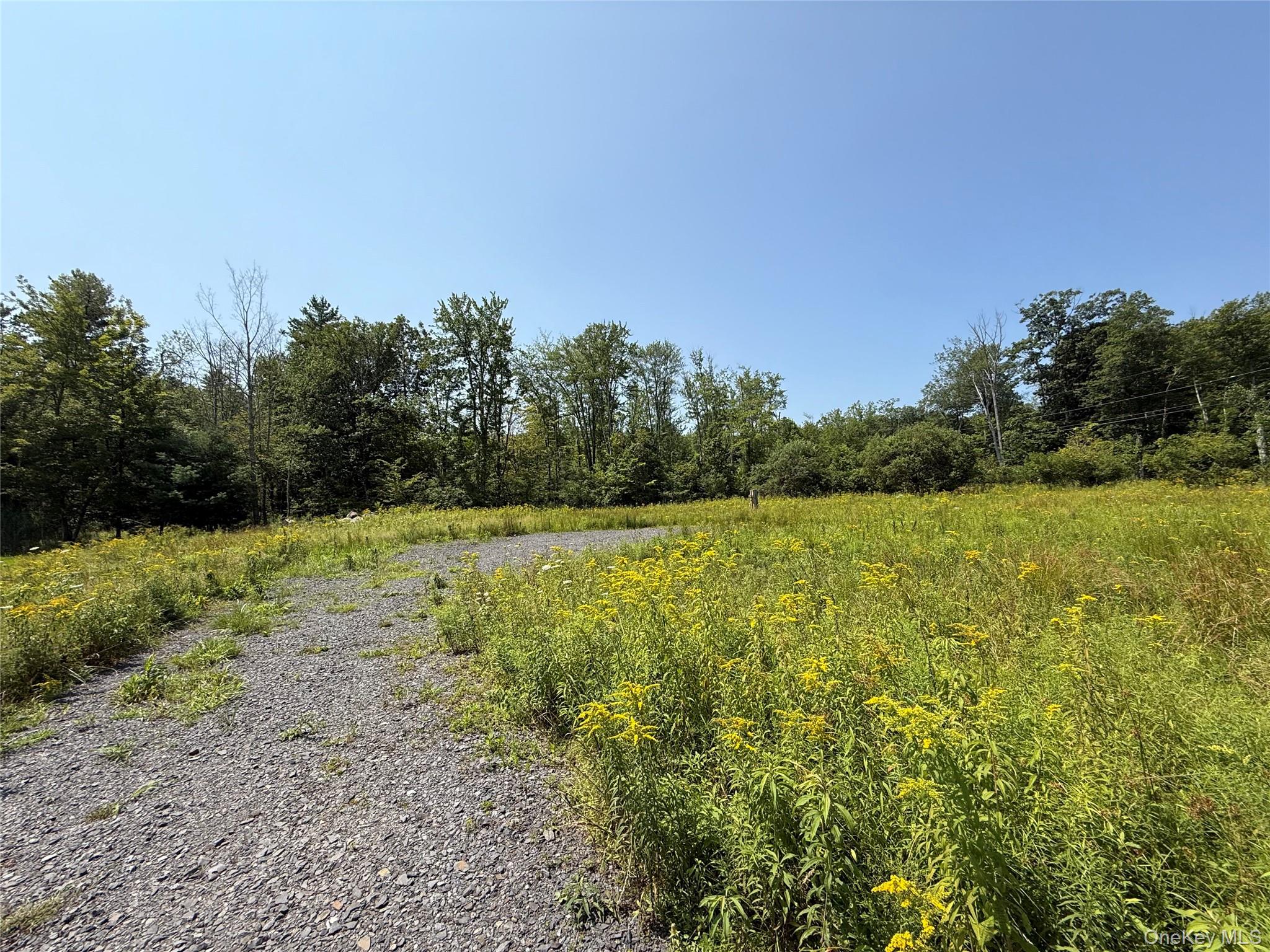 16 Kerness Road Ellenville, NY 12428 - Photo 3 of 6 a view of a field with an outdoor space